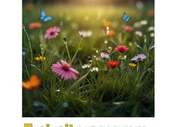 Das neue Freizeitprogramm ist da